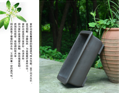 Greatness, yixing purple sand flowerpot high - quality goods manual double square bonsai flowers, green big basin