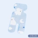Ice -Snow Bear