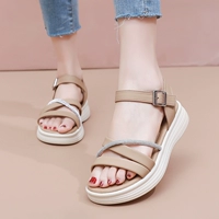 Абрикос A8801