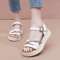 Райс белый A8801