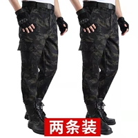 Ремень, черный орел, 1 шт