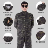 Камуфляжный комбинезон, дорожные осенние износостойкие штаны