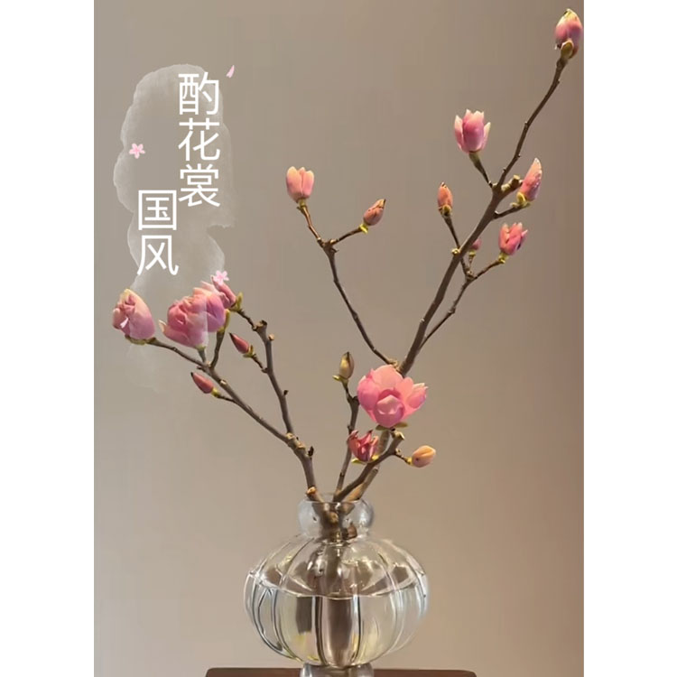 酌华裳