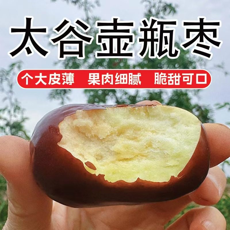太谷壶瓶枣:来自晋中的脆甜馈赠-枣-淘宝百科网