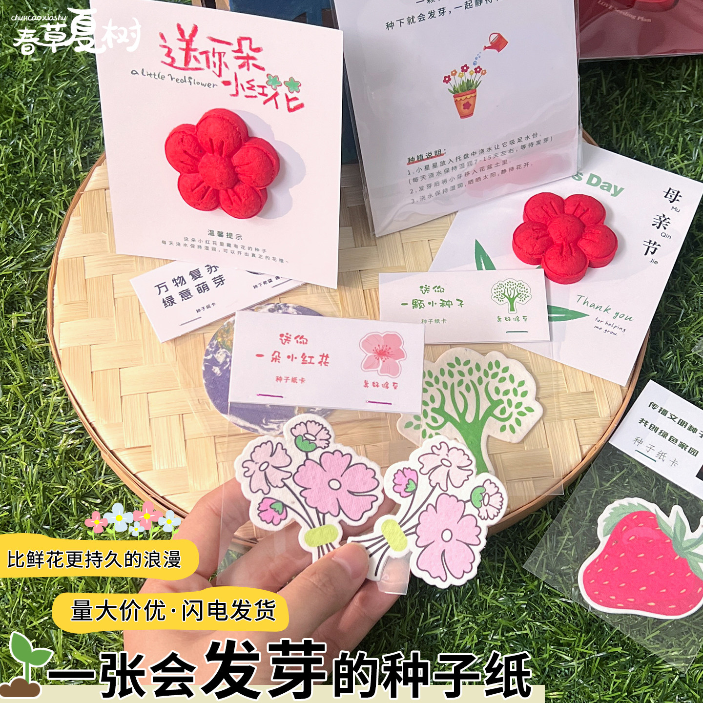 🌟给TA种下一颗希望🌟 | 太阳花种子纸伴手礼🎁-其他手工制作-淘宝好物网
