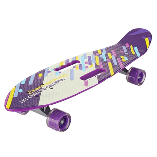 浪丽手提小鱼板6-12岁成人儿童初学青少年专业四轮刷街代步滑板车