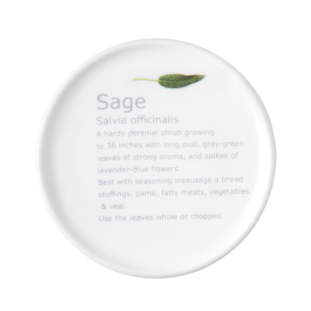 HAENGNAM Han Guoxing south China sage with cover filter cup south Chesapeake origin glair ipads porcelain cup
