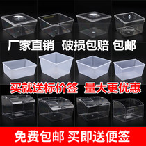 Supermarket snack box Candy box Dried fruit plastic display box Food box Supermarket candy box Transparent with lid