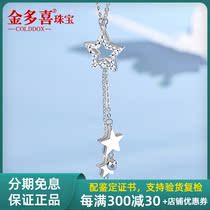 Platinum Necklace Woman pt950 Platinum Necklace Platinum Pendant Lock Bone Necklace Trekking Necklace Platinum Necklace Woman