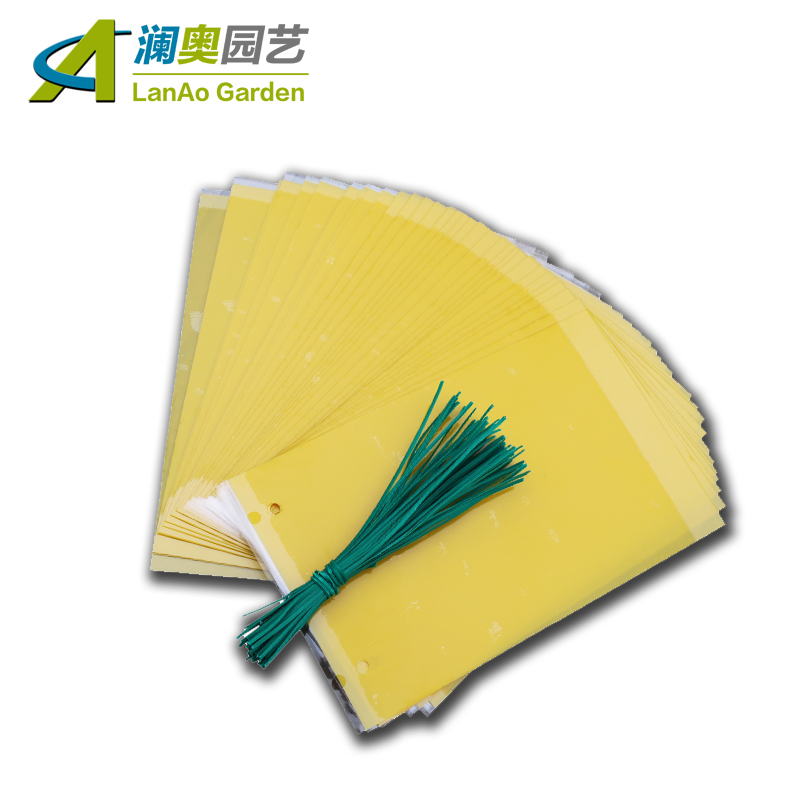 Double - sided imported adhesive bug PVC plastic viscose plate insecticide plate - induced insect - flies mosquitoes