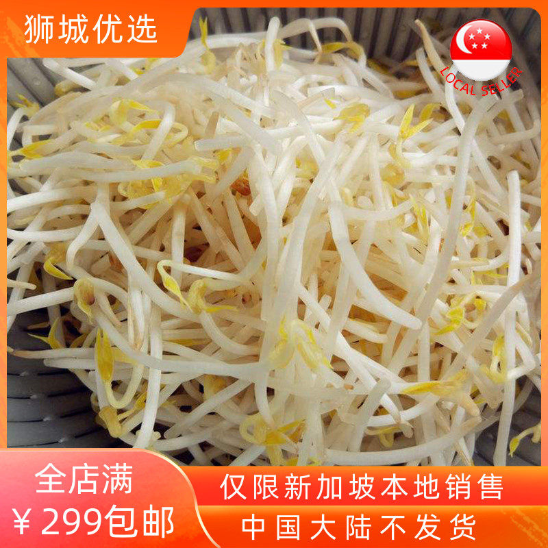 (Vegetable) adzuki bean sprouts 1kg local shipment from Singapore
