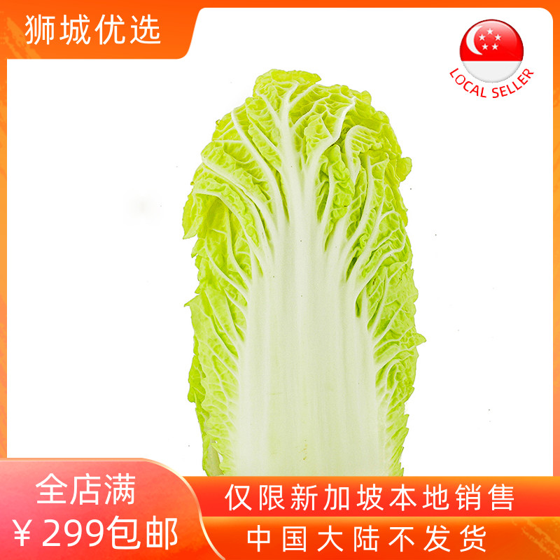 (Vegetable) Chinese cabbage shipped locally in Singapore