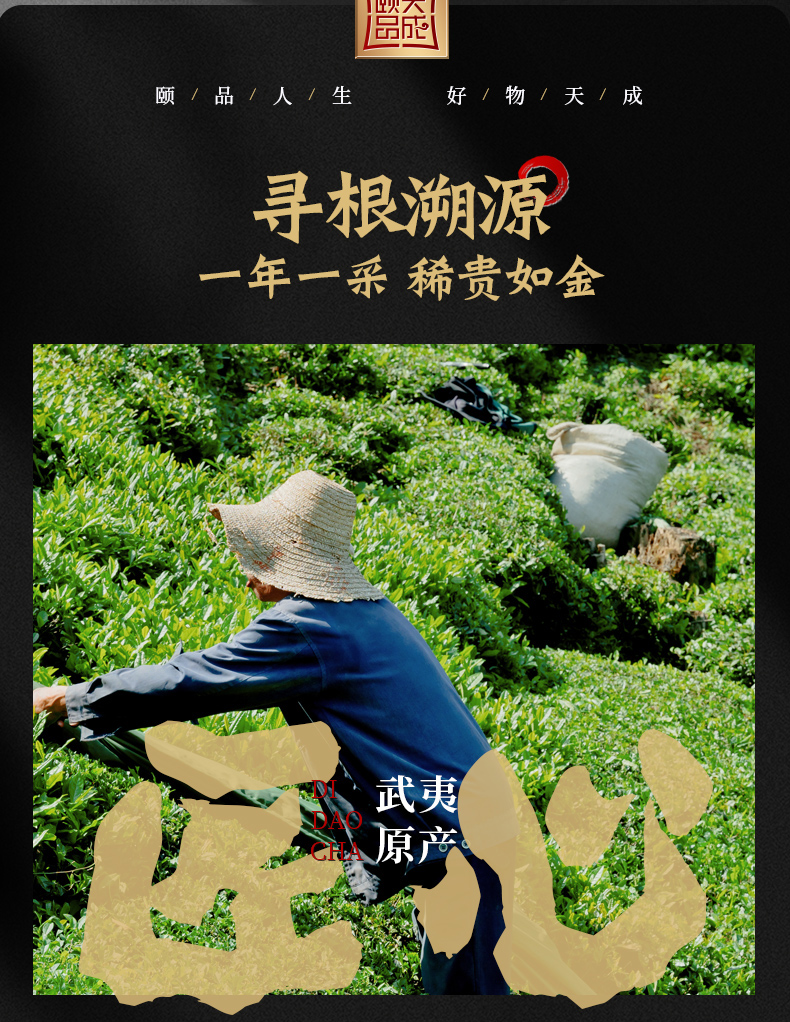 颐品天成  武夷山 正宗蜜香型金骏眉红茶 50g 图3