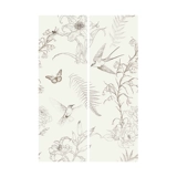 Кошачий глаз