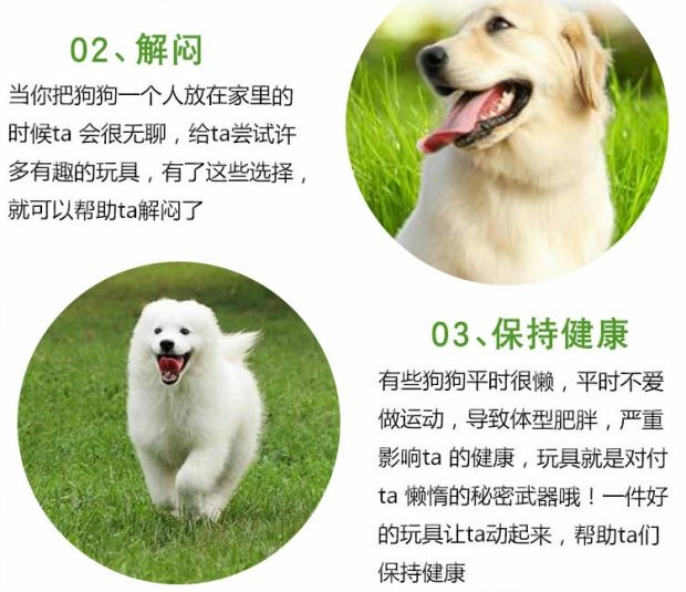 Pet toy sneakers dog vocal toy không độc hại cao su thú cưng đồ chơi mèo và chó molars đồ chơi thanh nhạc đồ chơi gỗ cho mèo