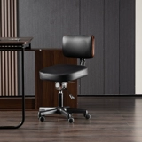 Компьютерное кресло домашнее комфорт, эргономичное кресло с твердым деревом общежития, перевод стул Студент может порекомендовать стул талии