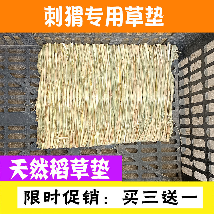 African mini-hedgehog mat winter warm in winter summer sleeping and breeding pet toy supplies