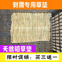 African mini-hedgehog mat winter warm in winter summer sleeping and breeding pet toy supplies