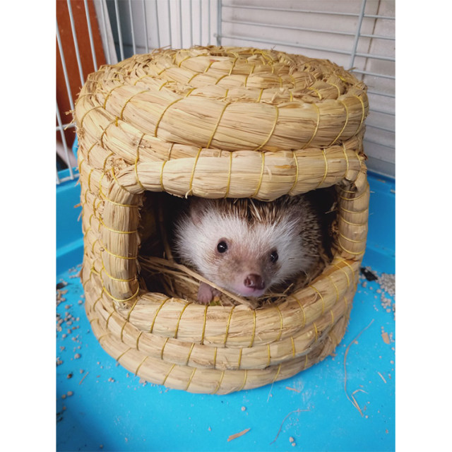 Pet hedgehog cubs small nest warm house African mini hedgehog nest house villa insulation winter supplies to avoid