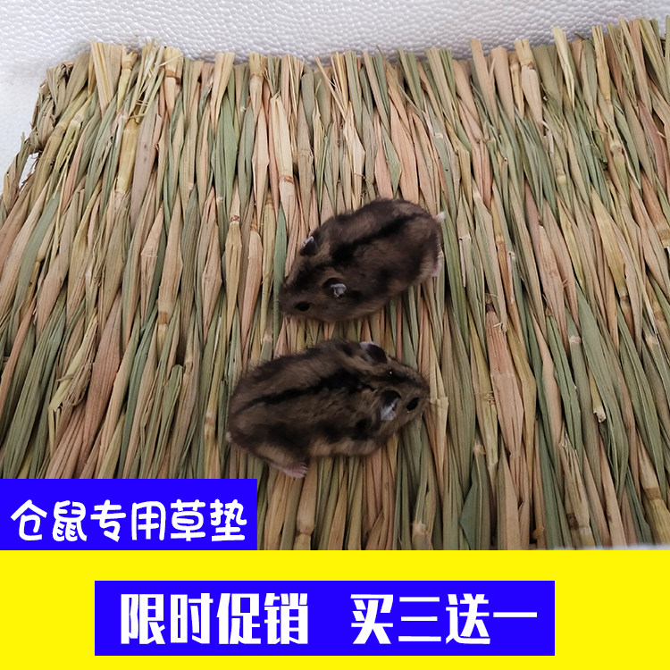 Hardware nest mat winter special pet pudding hamster toy winter warmth room gold wire bear silver fox supplies