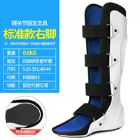 Базовый теленок с правой ногой