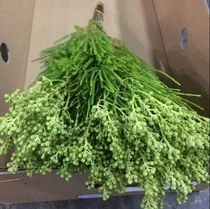 Import Mini Coral Fruits Wedding Noble Flower Arrangement Hand Holding Flower Accessories Can Do Dry Flowers Kunming Flowers Express