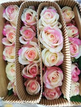 Yunnan flower base Special offer express Rare roses shining Neon roses hot sale