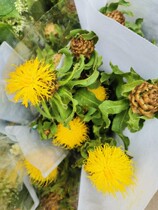 Cornflower Flowers Express Yunnan Kunming flower farmers flower base flowers