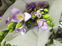 Yunnan Kunming flowers all kinds of fragrant snow Orchid fresh cut flowers Valentines Day gift flowers family flowers