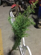 Flower express leaf material Snow willow leaf express bouquet flower arrangement Home flower arrangement with leaves