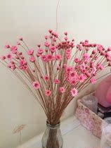 Little star flower Yunnan dried flower Flower real flower bouquet living room decoration natural dried flower arrangement eternal flower delivery