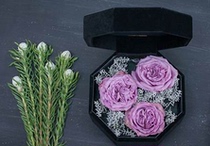 New product listing Dorota oversized rose birthday love flowers Yunnan Kunming base flower express