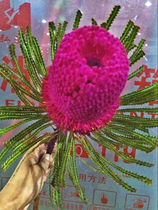 Imported stupa Yunnan Kunming flowers express High-end business flowers family flower arrangement fresh cut flowers express