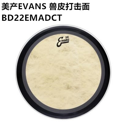 Dadario Evans Maestro EMAD beast leather against face retro style BD22EMADCT National