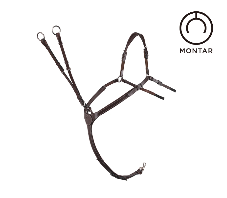 Danish MONTAR chest with bowed leather horse equestrian supplies light extravagant