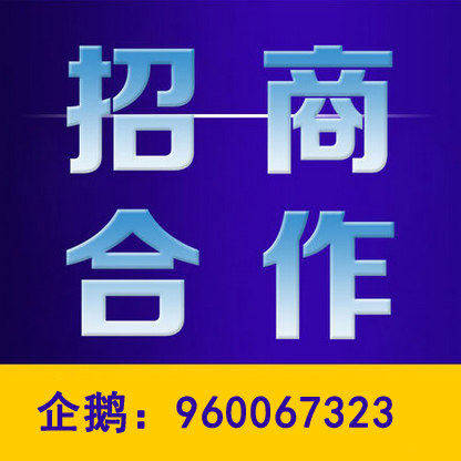 app development platform development website custom design micro-mall construction design website optimization investment cooperation