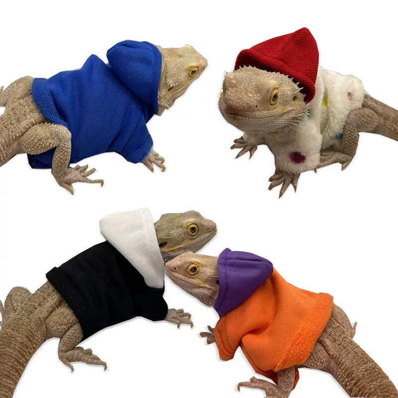 Bearded Dragon Costume, Gecko Costume, Hoodie, Sweatshirt, Pet Costume for Going Out, Transformation Outfit for Walking, Crocodile Costume, Blue-Tongue Lizard Costume