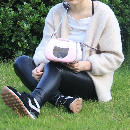 Симпатичный домашний хомяк Золотой ежик Хеджгог Крысы Крысы сосны Дорч -в моделях Гвинеи с портативным рюкзаком wai bao