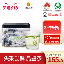 2022 New Tea Hug Mountain Yellow Sprout Special class Ming Former Yellow Tea Head Yellow Tooth 6 An Tea Garden Spring Morning