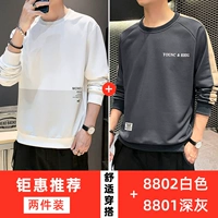 8802 белый+8801 Deep Grey