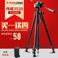 Weifeng 3520 Digital SLR Camera chân máy Nhiếp ảnh chân máy cầm tay đơn vi điện thoại chụp ảnh tự sướng đứng sống - Phụ kiện máy ảnh DSLR / đơn tripod máy ảnh