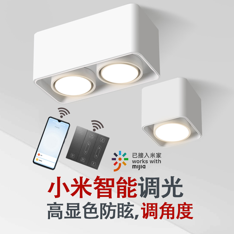 LED Ming Dress Spotlight single Double Head Anti-glare No main lamp COB Fighting Biliary Lamp Sky Cat Elf Mijia Smart Ceiling Lamp