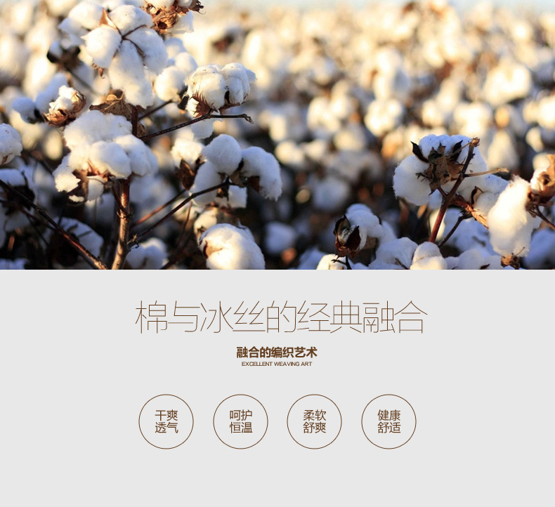 Chaussettes - collants Y2210 - Ref 779380 Image 11