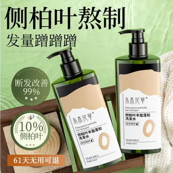 Platycladus Orientalis Leaf Shampoo, Ginger Oil Control, Fluffy and Anti-Dandruff, Non-Preventing Hair Loss, Hair Growth, Anti-Itching, Genuine Official Brand for Men