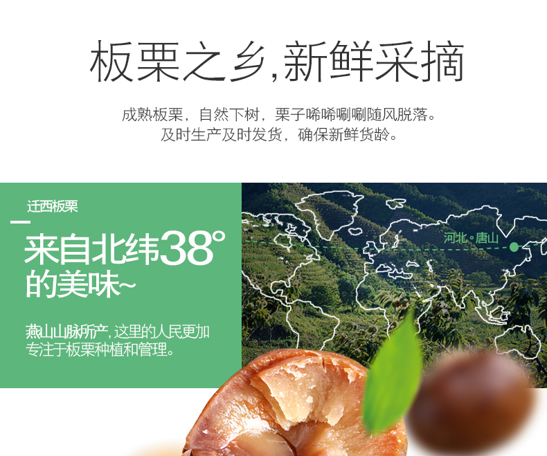 紫玉 正宗迁西板栗仁 100g*4袋 0防腐剂 图4