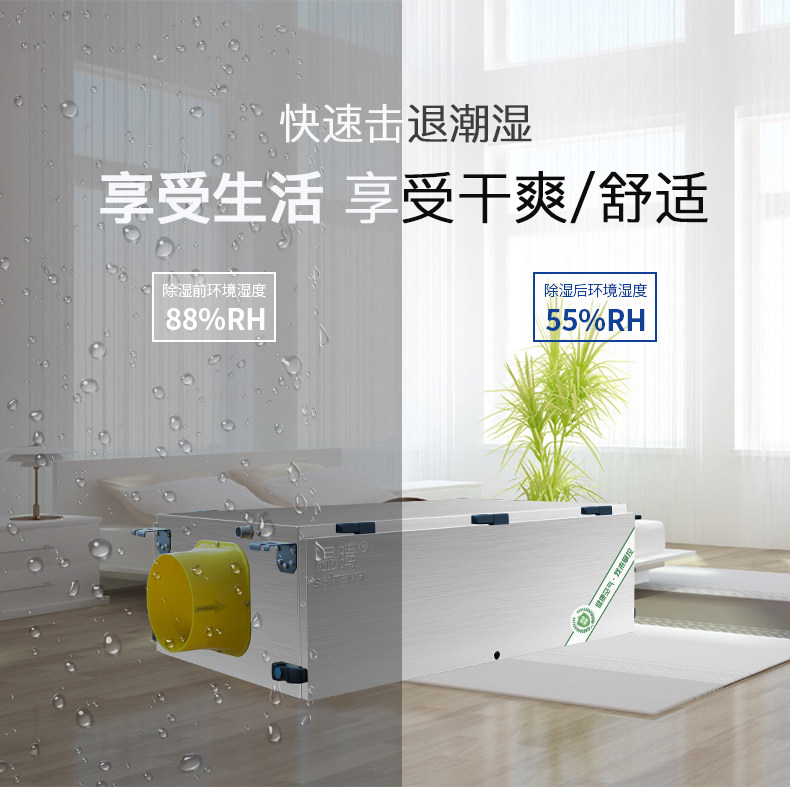 GST-T26_03.jpg