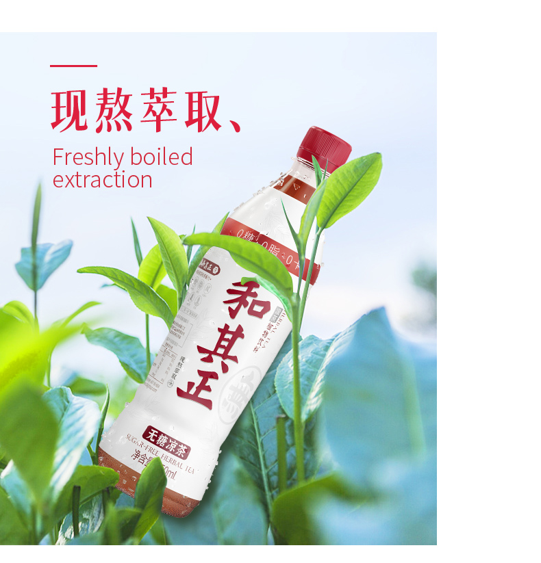 和其正 0糖0脂0卡 凉茶 550ml*15瓶 清凉消火 图4