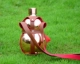 Thép không gỉ 304 bình đựng nửa caten 1 chai Palăng di động ngoài trời 3 kg chai rượu cầm tay ly uống whisky