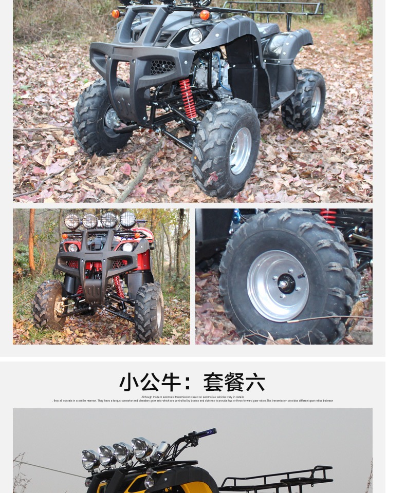 Tất cả các địa hình 125cc nhỏ bò xuyên quốc gia xe đua cao ATV bốn bánh xe trục truyền vi sai ngược xe máy bãi biển - Xe đạp quad xe cào cào mini giá 2 triệu