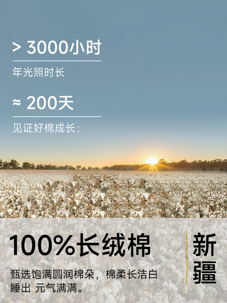 100S Long-Staple Cotton Washed Jacquard High-Count Pure Cotton 2024 New Bed Four-Piece Set Pure Cotton Four-Season Universal Accessible Luxury